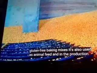 Camsoda Sex Cam of groundhogsdayburnout