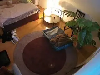 Camsoda Private Sex Chat of voyeurcam-julmodels-whitebed-5