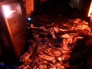 Camsoda Adult Video Chat of secretsexpert