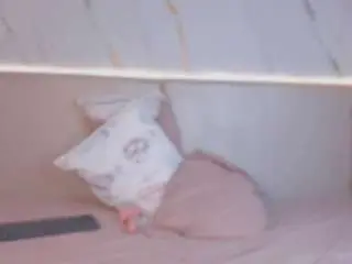 Camsoda Sex Chat of julieta-blue