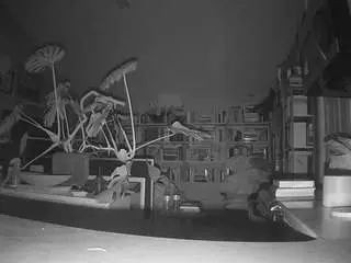 Camsoda Live Sex Cam of voyeurcam-bridgetleewalters-02