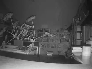 voyeurcam-bridgetleewalters-02 from camsoda