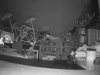 Camsoda Best Webcam of voyeurcam-bridgetleewalters-02