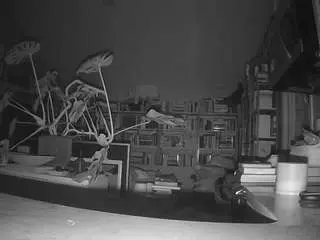 Camsoda Live Sex of voyeurcam-bridgetleewalters-02