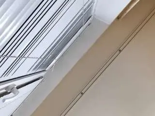 Camsoda Free Porn Cam of joannpalifka