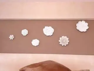 Camsoda Adult Video Chat of ariafoster