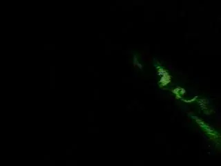 itscandibtch69 from camsoda