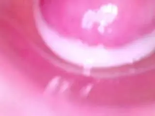 Camsoda Free Porn Cam of shannon-kane