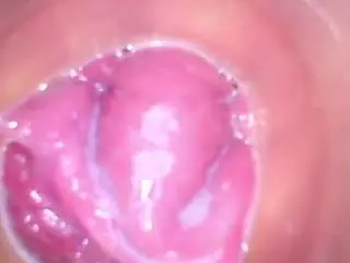 Camsoda Live Sex of shannon-kane