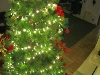 Camsoda Best Webcam of voyeurcam-julmodels-living-2