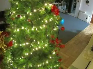 Camsoda Nude Webcam of voyeurcam-julmodels-living-2