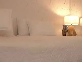 Camsoda Free Porn Cam of avalodge