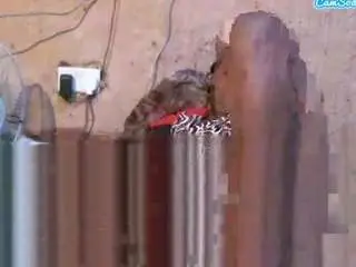 magnetic-queen from camsoda