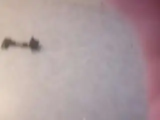 Camsoda Adult Webcams of sweetteafe