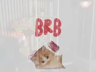 Camsoda Adult Webcams of mia-r0ss