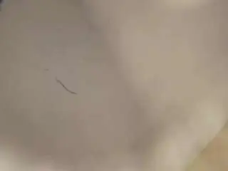 bigdickmexmikey from camsoda