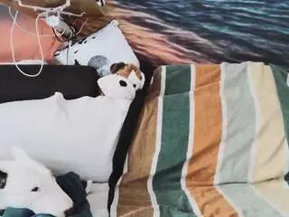 Camsoda Sex Chat of huebscherschwanz