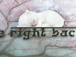 Camsoda Free Live Porn of electro-doll