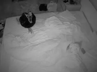 Camsoda Adult Video Chat of voyeurcam-julmodels-whitebed-3