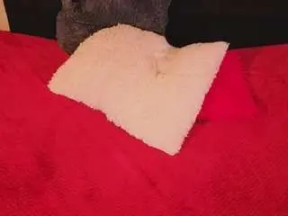 Camsoda Sex Chat of chloe-turner