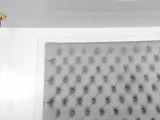 Camsoda Adult Video Chat of anette-cooper