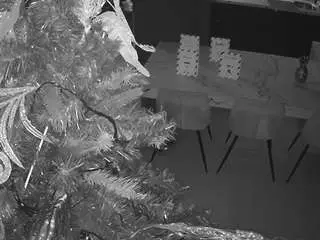 Camsoda Adult Video Chat of voyeurcam-casa-salsa-kitchen