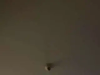 Camsoda Adult Webcams of legion-mac