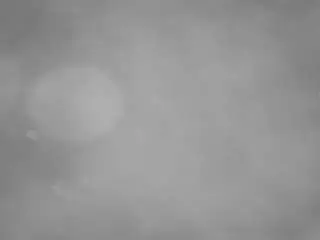 Camsoda Adult Webcams of voyeurcam-casa-salsa-pool-1