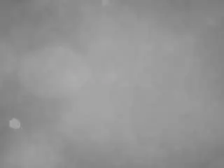 Camsoda Adult Webcams of voyeurcam-casa-salsa-pool-1