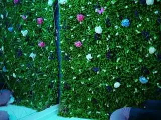 babynyco from camsoda