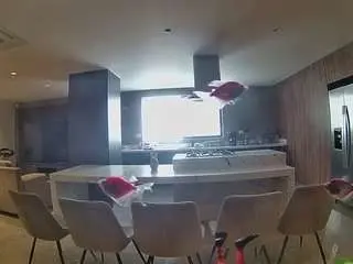 Camsoda Nude Webcam of voyeurcam-casa-salsa-fishtank