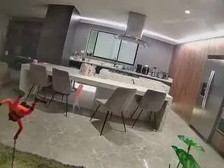 Camsoda Adult Video Chat of voyeurcam-casa-salsa-fishtank