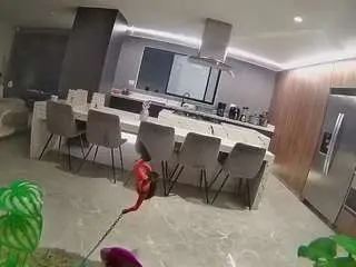 Camsoda Adult Webcam of voyeurcam-casa-salsa-fishtank