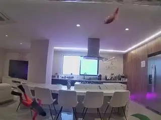 Camsoda Sex Chat of voyeurcam-casa-salsa-fishtank