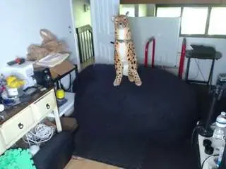 Camsoda Adult Webcams of amandahugnkiss