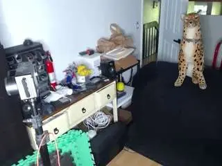 Camsoda Live Porn of amandahugnkiss