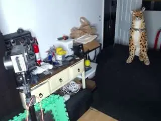 Camsoda Free Live Porn of amandahugnkiss