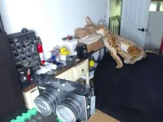 Camsoda Sex Cam of amandahugnkiss