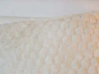 jadehasy from camsoda