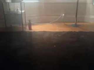 Camsoda Adult Webcams of delightfuldark