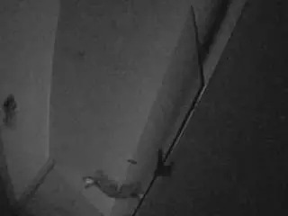 Camsoda Private Sex Chat of voyeurcam-casa-salsa-bathroom-7