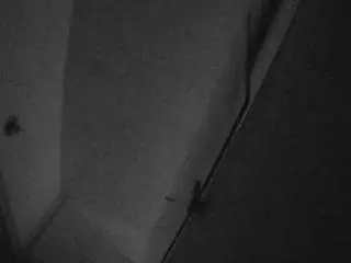 Camsoda Adult Webcam of voyeurcam-casa-salsa-bathroom-7