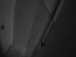 Camsoda Best Webcam of voyeurcam-casa-salsa-bathroom-7