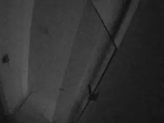 Camsoda Live Sex of voyeurcam-casa-salsa-bathroom-7