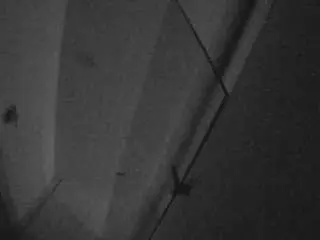 Camsoda Live Sex of voyeurcam-casa-salsa-bathroom-7