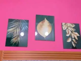 Camsoda Watch Live Sex Cams of kinkyandsavage