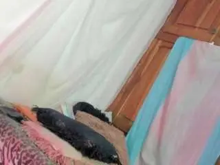 Camsoda Adult Webcams of ts-veryhot-xxx