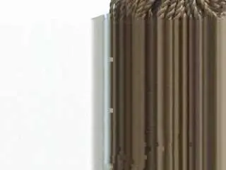 sweetbony from camsoda