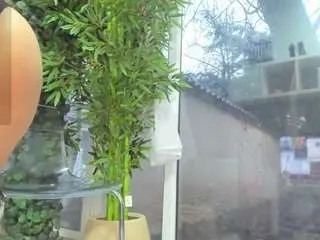 Camsoda Free Live Porn of lexistorm