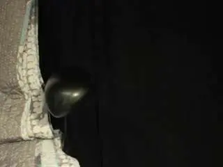 Camsoda Private Sex Chat of i-oahnr